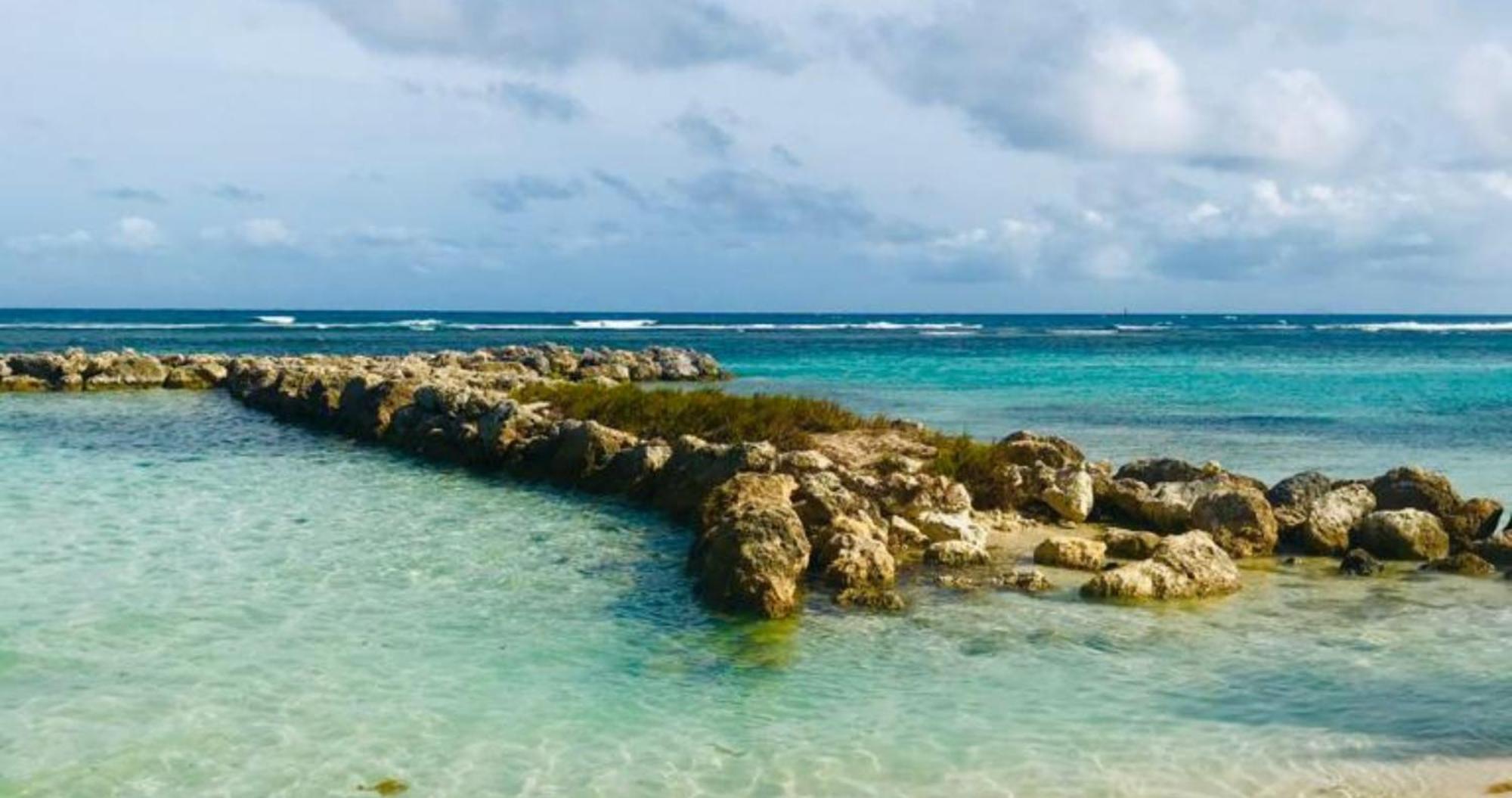 Magnifique Appartement Fleurs Caraibes - 6 Personnes En Residence Avec Piscine Privee - Sainte Anne Zewnętrze zdjęcie